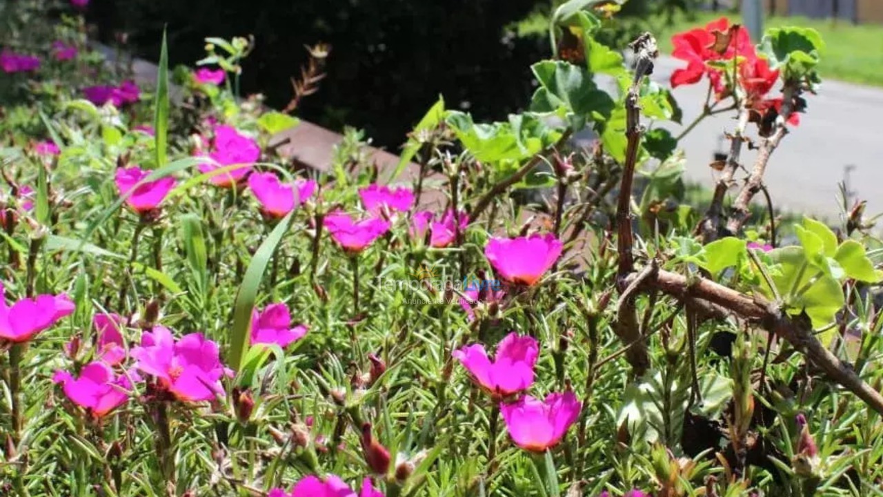 House for vacation rental in Curitiba (Cajuru)