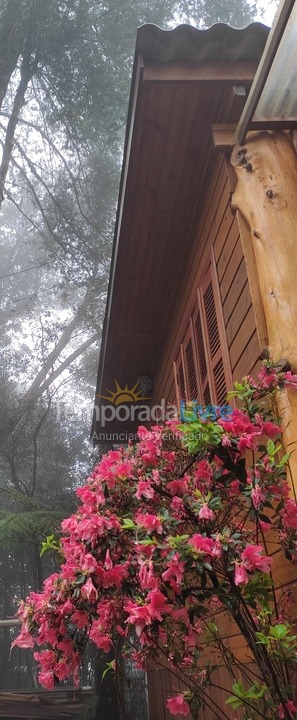 Casa para aluguel de temporada em São Francisco de Paula (São Bernardo)
