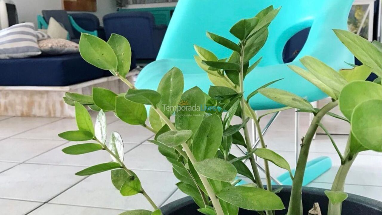 House for vacation rental in Florianopolis (Canasvieiras)