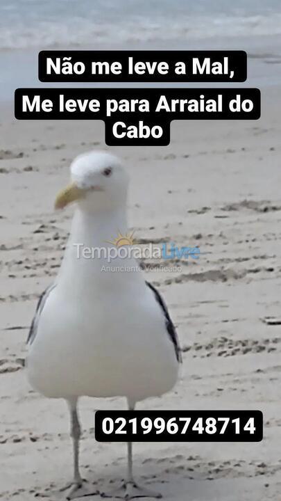 Apartment for vacation rental in Arraial do Cabo (Prainha)