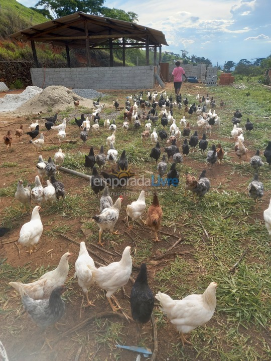 Ranch for vacation rental in Joanópolis (Bonifacio)