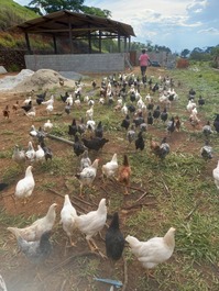 House on the site available for rent in Joanópolis - SP