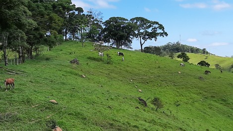 House on the site available for rent in Joanópolis - SP