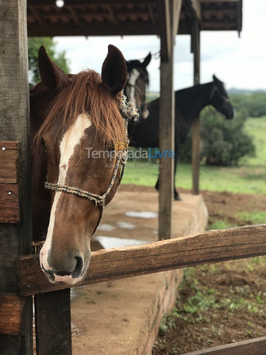Chácara / sítio para aluguel de temporada em Glorinha (Passo da Taquara)