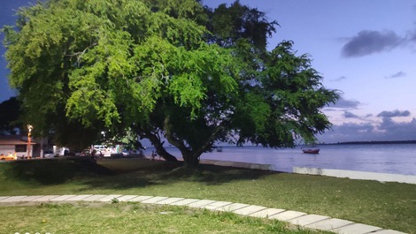 Praça de cacha pregos 