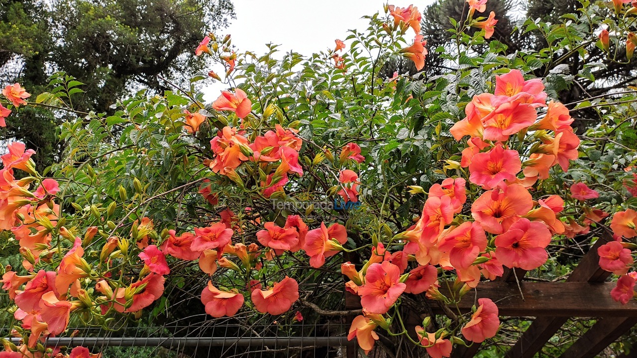 Casa para aluguel de temporada em São Francisco de Paula (São Bernardo)