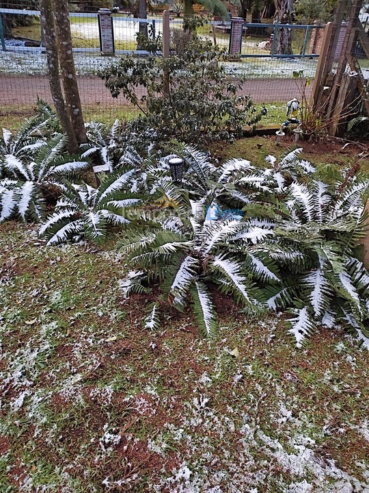 Casa para aluguel de temporada em São Francisco de Paula (São Bernardo)
