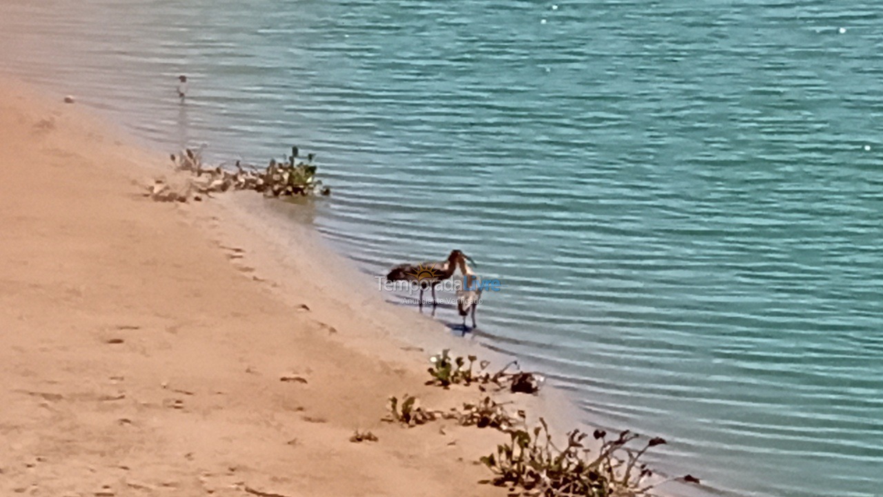 Casa para aluguel de temporada em Promissão (Bairro Bairrerinho)