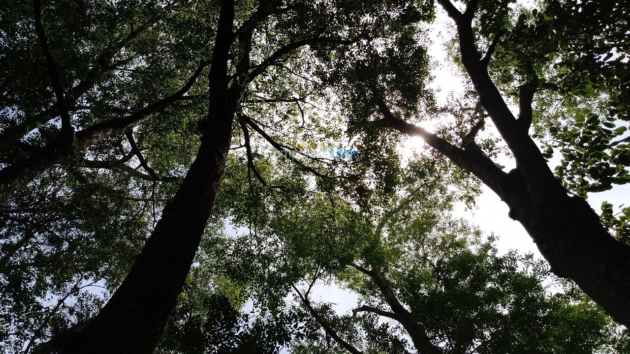 Casa para aluguel de temporada em Promissão (Bairro Bairrerinho)