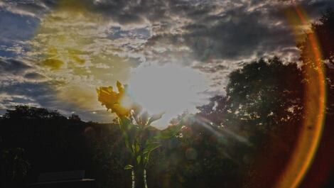 Casa completa junto a Mata Atlântica preservada