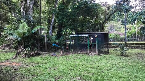 Gangorra e balanço cercado de muitas árvores