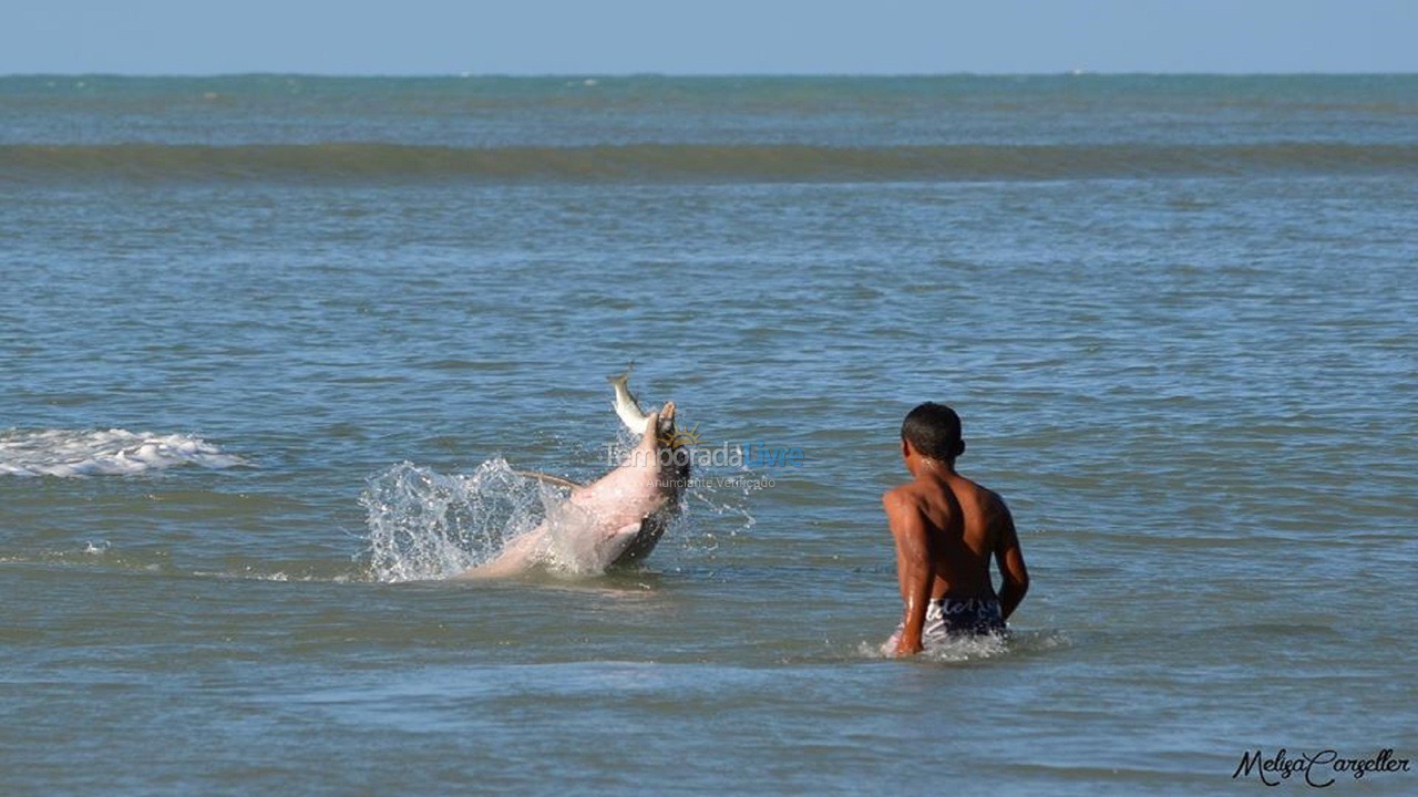 Apartamento para aluguel de temporada em Tibau do Sul (Praia da Pipa)