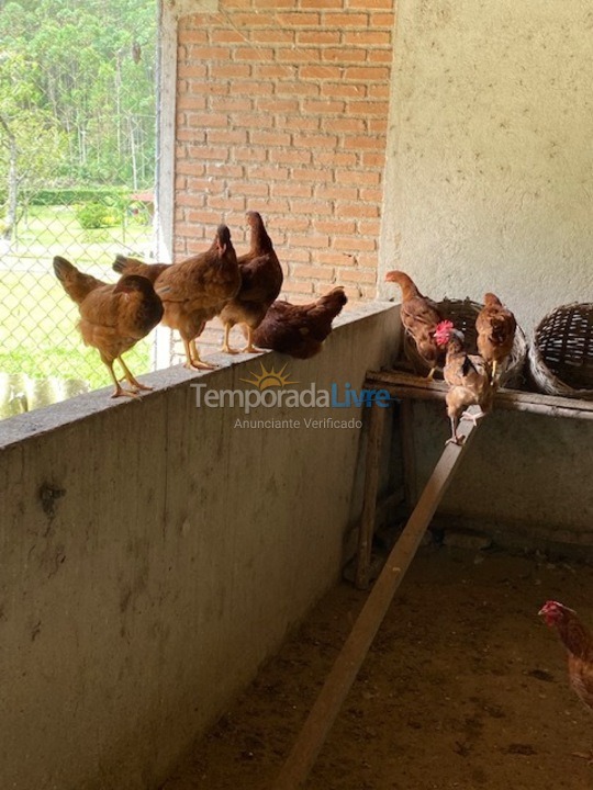 Chácara / sítio para aluguel de temporada em Salesópolis (Bairro Padre José)