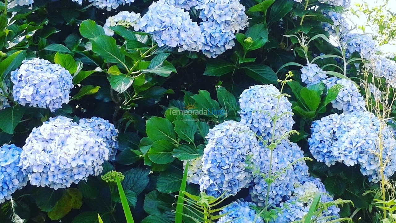 Chácara / sítio para aluguel de temporada em Ibiúna (Sorocamirim)