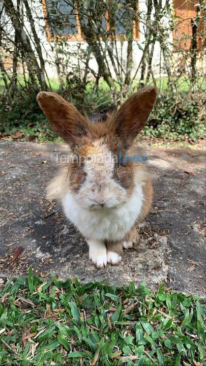 Casa para alquiler de vacaciones em Monte Verde (Monte Verde)