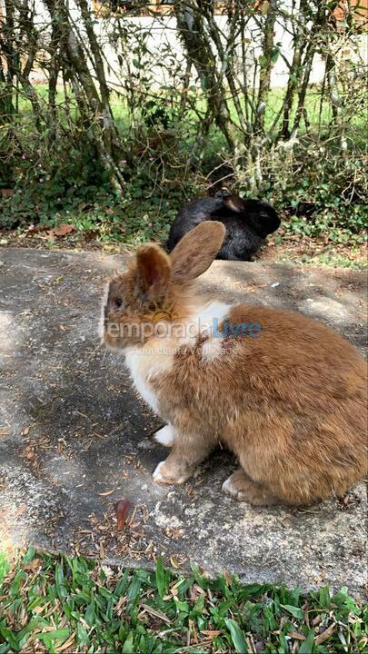 Casa para alquiler de vacaciones em Monte Verde (Monte Verde)
