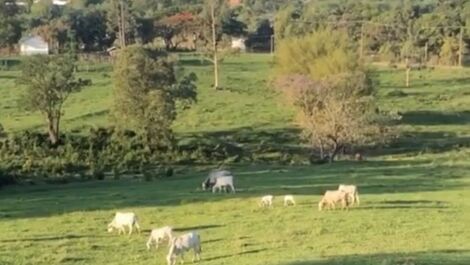R$ 2.900,00 (sexta-feira à domingo)
