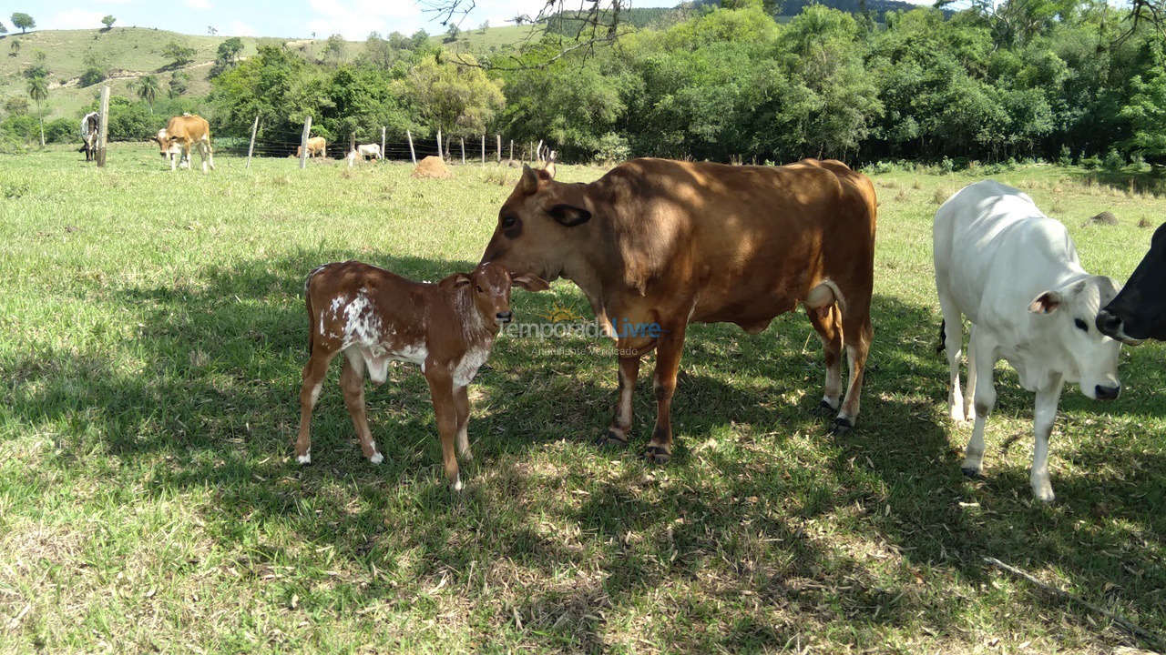 Granja para alquiler de vacaciones em Guareí (Floresta)