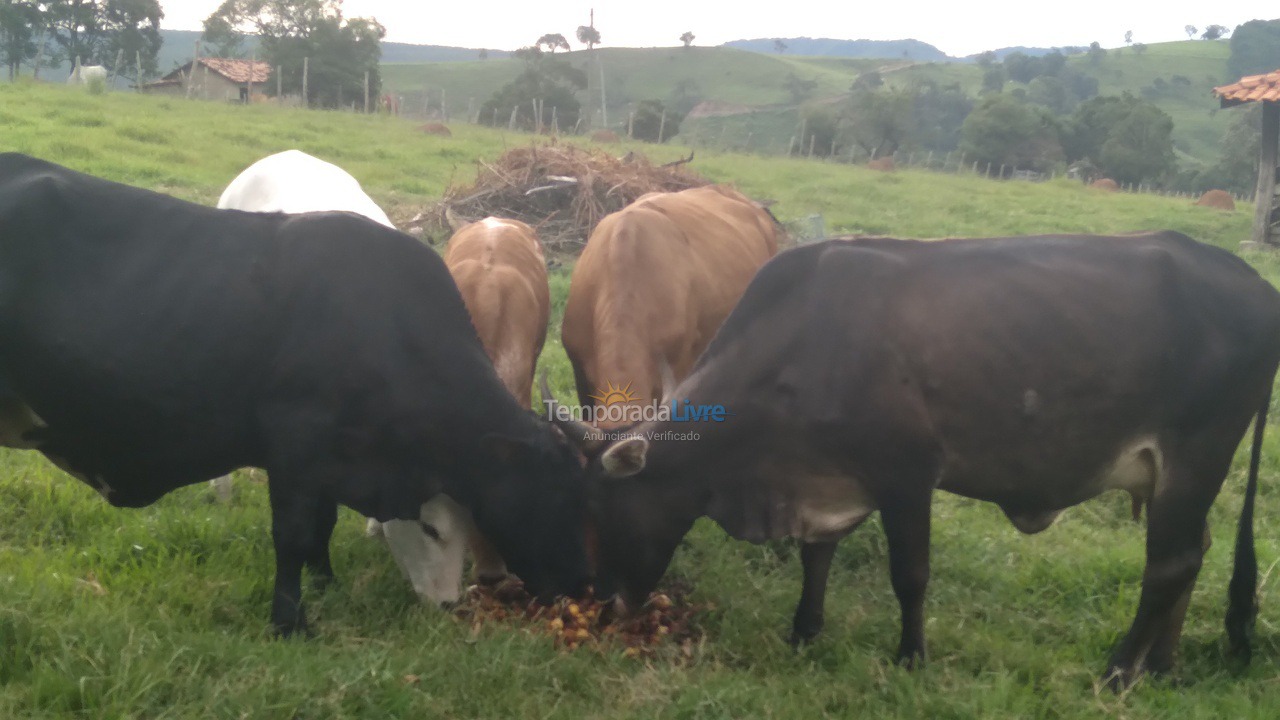 Granja para alquiler de vacaciones em Guareí (Floresta)