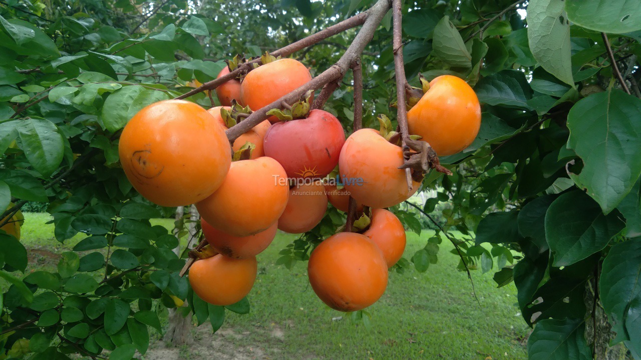 Granja para alquiler de vacaciones em Guareí (Floresta)