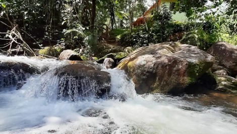 Ambiente para se conectar com a natureza.