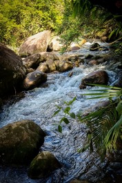 Ambiente para se conectar com a natureza.