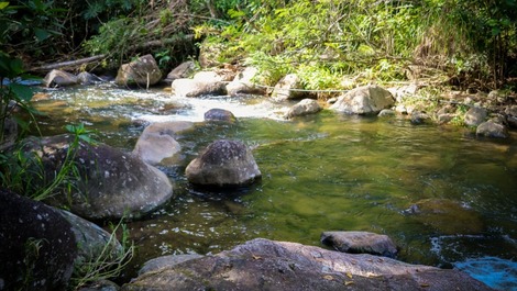 Ambiente para se conectar com a natureza.
