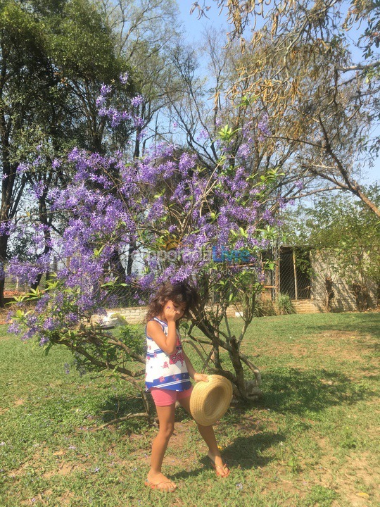 Ranch for vacation rental in Boituva (Boituva)