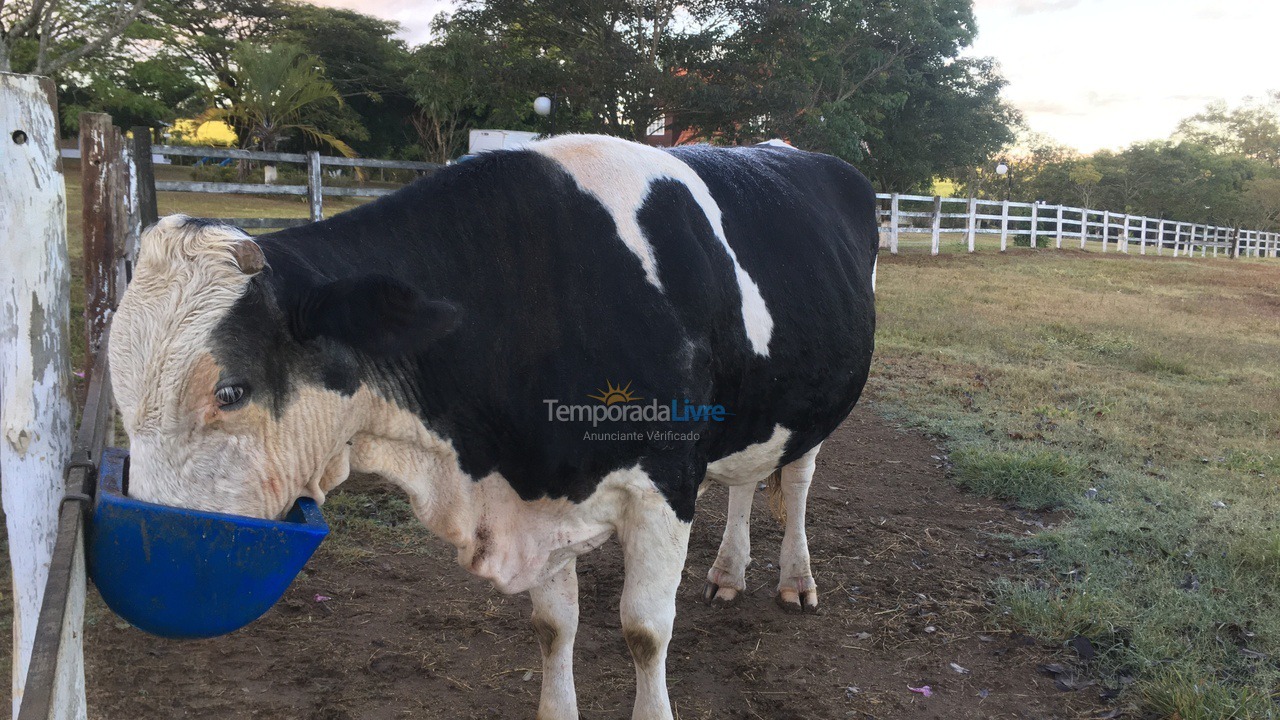 Ranch for vacation rental in Boituva (Boituva)