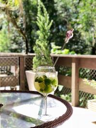 Apartamento para alugar em Gramado - Knorr Ville