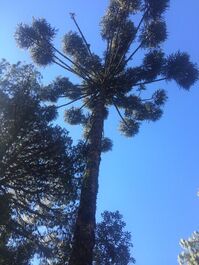 Um lugar encantador a 3 minutos do centro