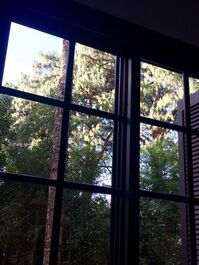 Um lugar encantador a 3 minutos do centro