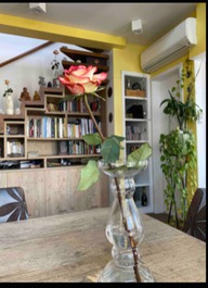 Maravilhoso Loft