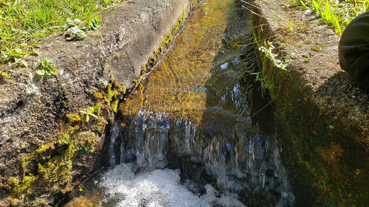 Chácara / sítio para aluguel de temporada em São Lourenço da Serra (Sitio)