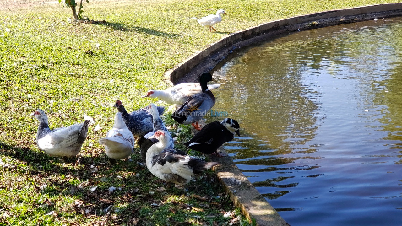 Chácara / sítio para aluguel de temporada em São Lourenço da Serra (Sitio)