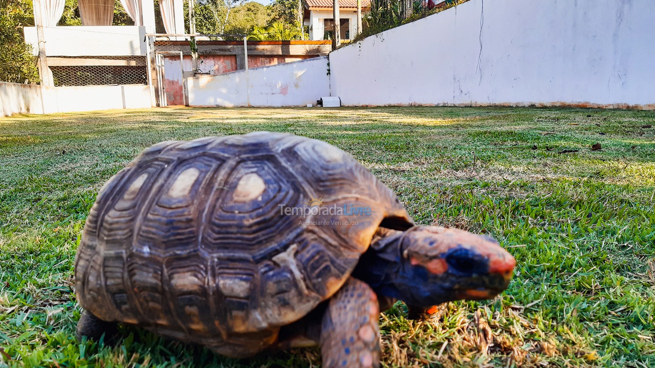 Chácara / sítio para aluguel de temporada em Juquitiba (Centro de Juquitiba)