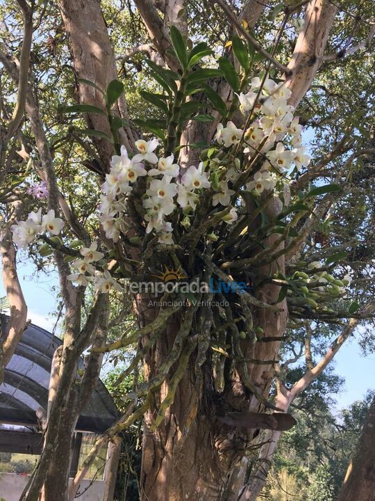 Ranch for vacation rental in Mogi das Cruzes (Biritiba Ussu)