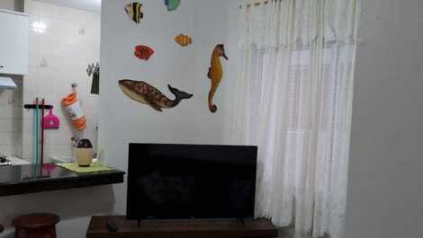 Vista da sala com balcão e parte lavanderia ao fundo