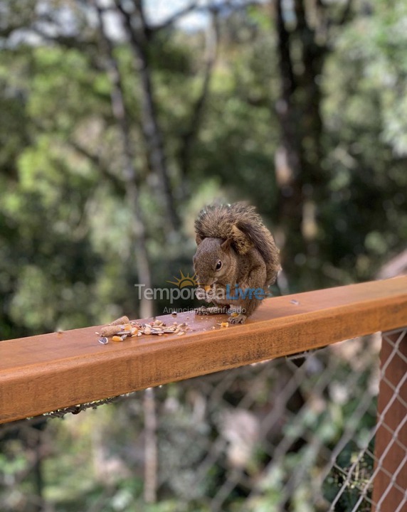 Casa para aluguel de temporada em Monte Verde (Monte Verde)