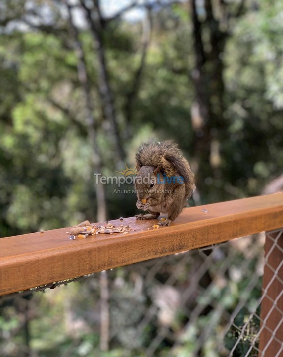 Casa para aluguel de temporada em Monte Verde (Monte Verde)