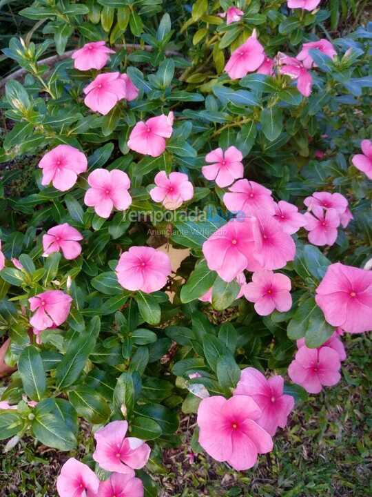 Granja para alquiler de vacaciones em Peruíbe (Itariri)