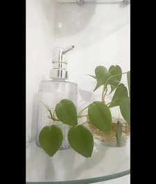 Alugo 1 quarto no condomínio com garagem incluso