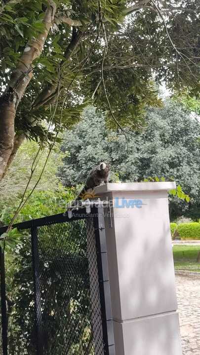House for vacation rental in Tibau do Sul (Praia da Pipa)