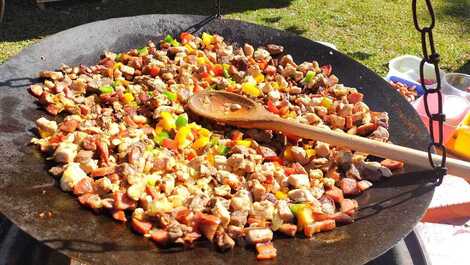 Entrevero de pinhão no disco de arado