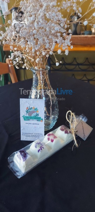 House for vacation rental in Nova Friburgo (Cascatinha)