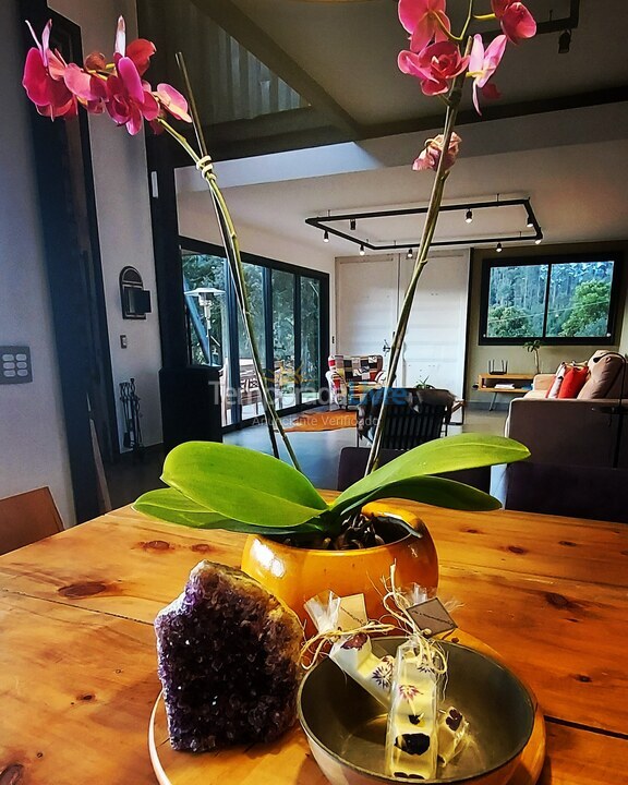 Casa para aluguel de temporada em Nova Friburgo (Cascatinha)