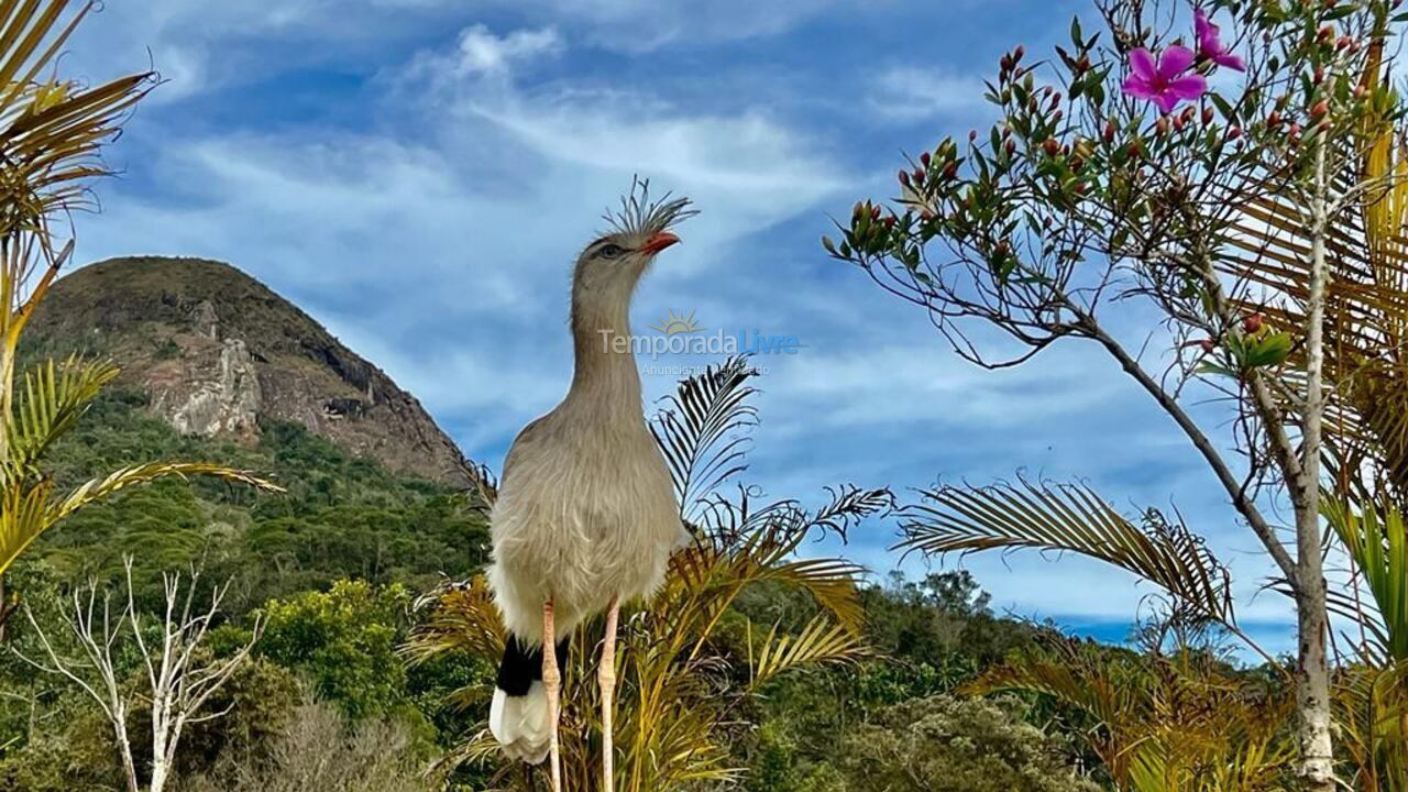 Casa para aluguel de temporada em Nova Friburgo (Cascatinha)