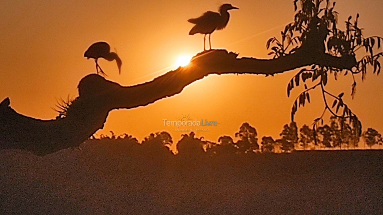 Chácara / sítio para aluguel de temporada em Socorro (Bairro dos Farias)
