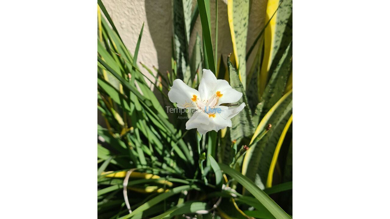 Apartamento para aluguel de temporada em Aquiraz (Ce Porto Das Dunas)