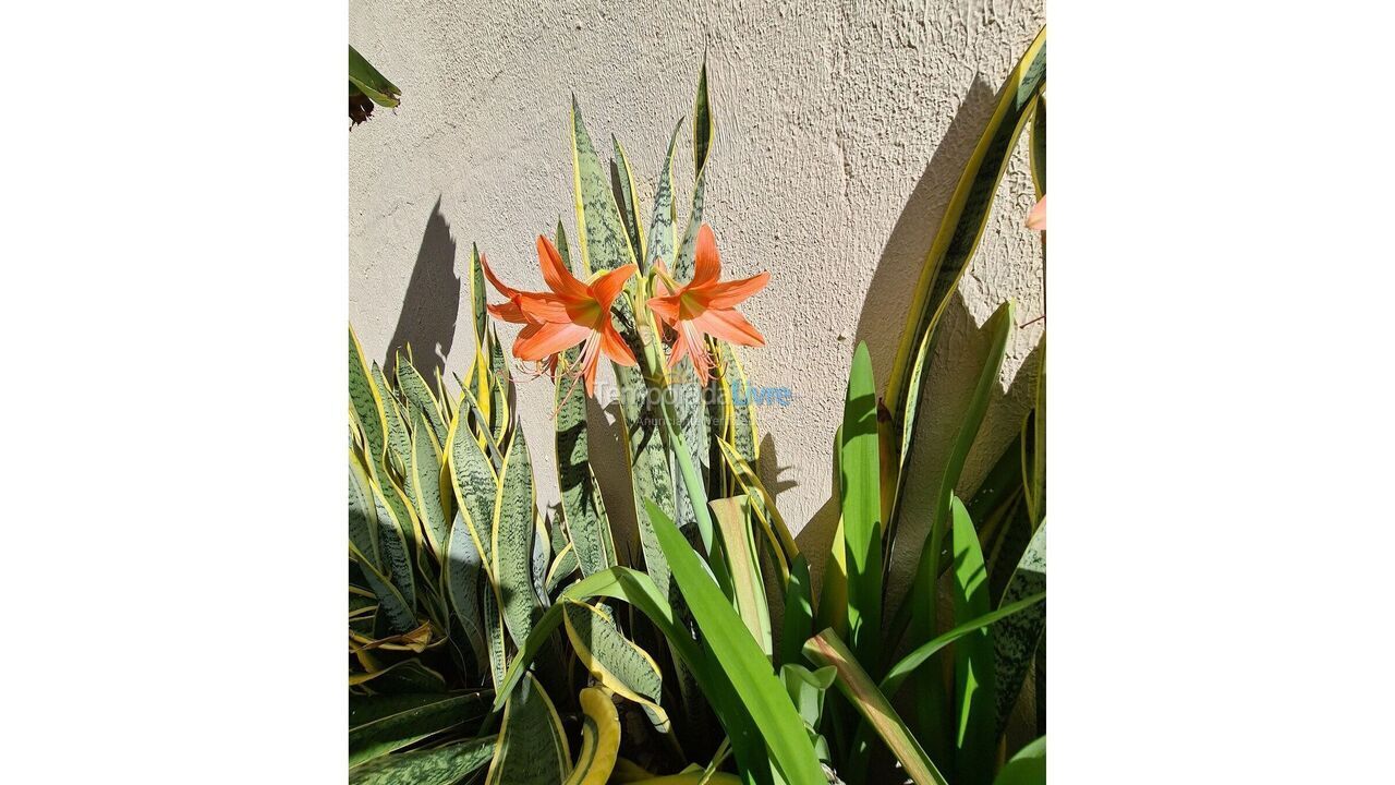 Apartamento para aluguel de temporada em Aquiraz (Ce Porto Das Dunas)